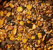       "Анилин" Мюсли БАЗА         Не содержат овса, 20 кг