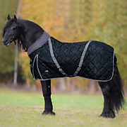 Попона зимняя денниковая Horsenjoy Megeve 300г
