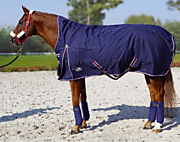Попона зимняя дождевая Horsenjoy Aristo High Neck 250г