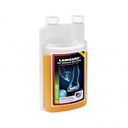Ламигард Регулар Солюшн / Lamigard Regular Solution, 1л