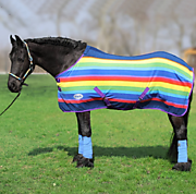 Попона флисовая  Rainbow